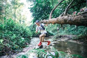 BIB: 
                            <button type="button" onclick="openModal(25431732)" class="btn btn-primary btn-sm float-right btn-popup" data-toggle="modal" data-target=".modal-high-quality">
                        <i class="fas fa-shopping-cart"></i> Add to Cart
                    </button>
                                            <button type="button" onclick="isThisMe(25431732, true)" class="btn btn-success btn-sm float-right btn-popup btn-isme hidden" data-toggle="tooltip" data-placement="bottom" title="นี่คือรูปของคุณใช่ไหม คลิกที่นี่เพื่อเอาเข้าอัลบั้ม">
                        <i class="fas fa-plus"></i> Add to album
                    </button>
                    <button type="button" onclick="isThisMe(25431732, false)" class="btn btn-warning btn-sm float-right btn-popup btn-isnotme hidden">
                        <i class="fas fa-ban"></i> Remove from album
                    </button>